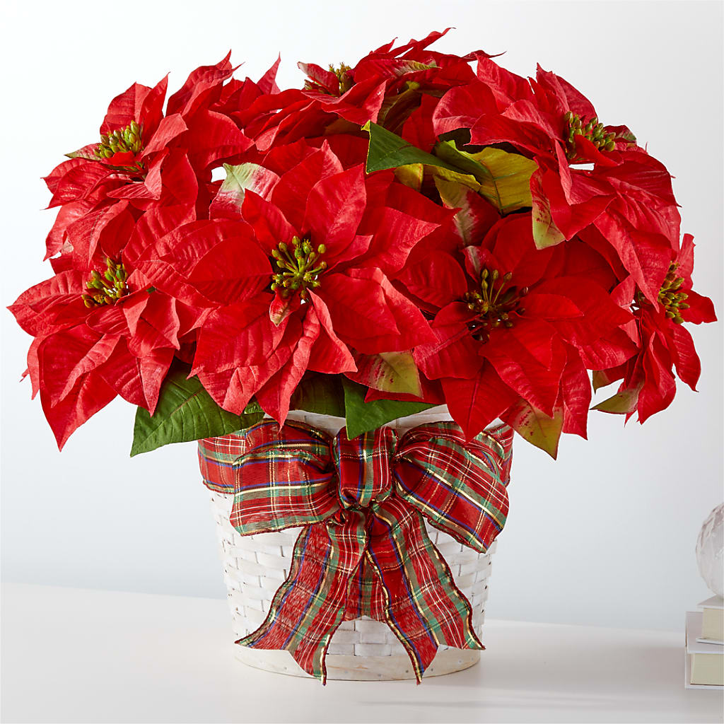 Happiest Holidays Poinsettia – Realm Of Blooms, Carnegie PA