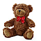 Adorable Plush Bear – Realm Of Blooms, Carnegie PA