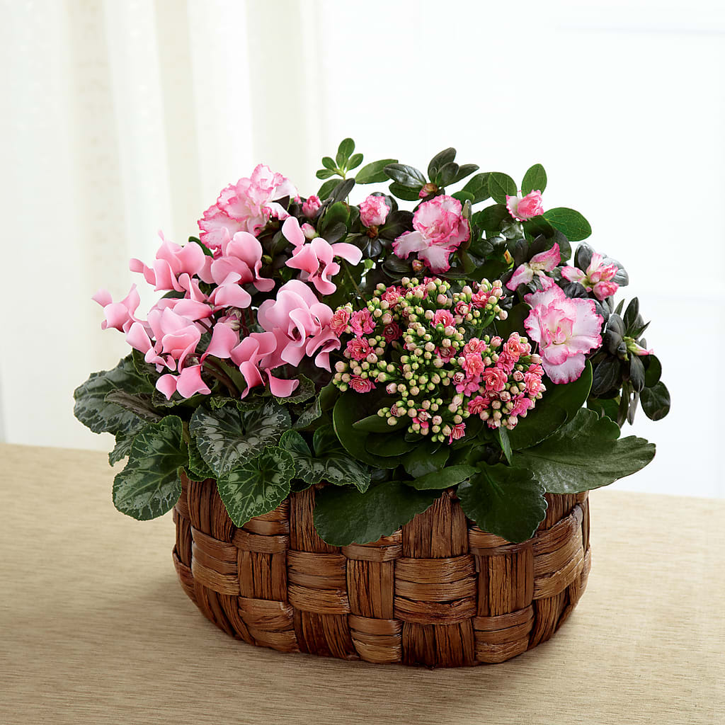 Pink Assortment – Realm Of Blooms, Carnegie PA