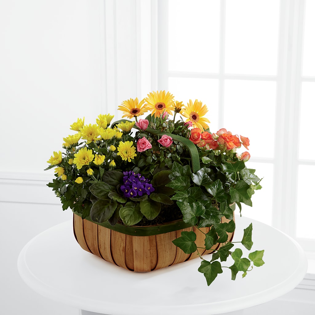 Gentle Blossoms Basket – Realm Of Blooms, Carnegie PA