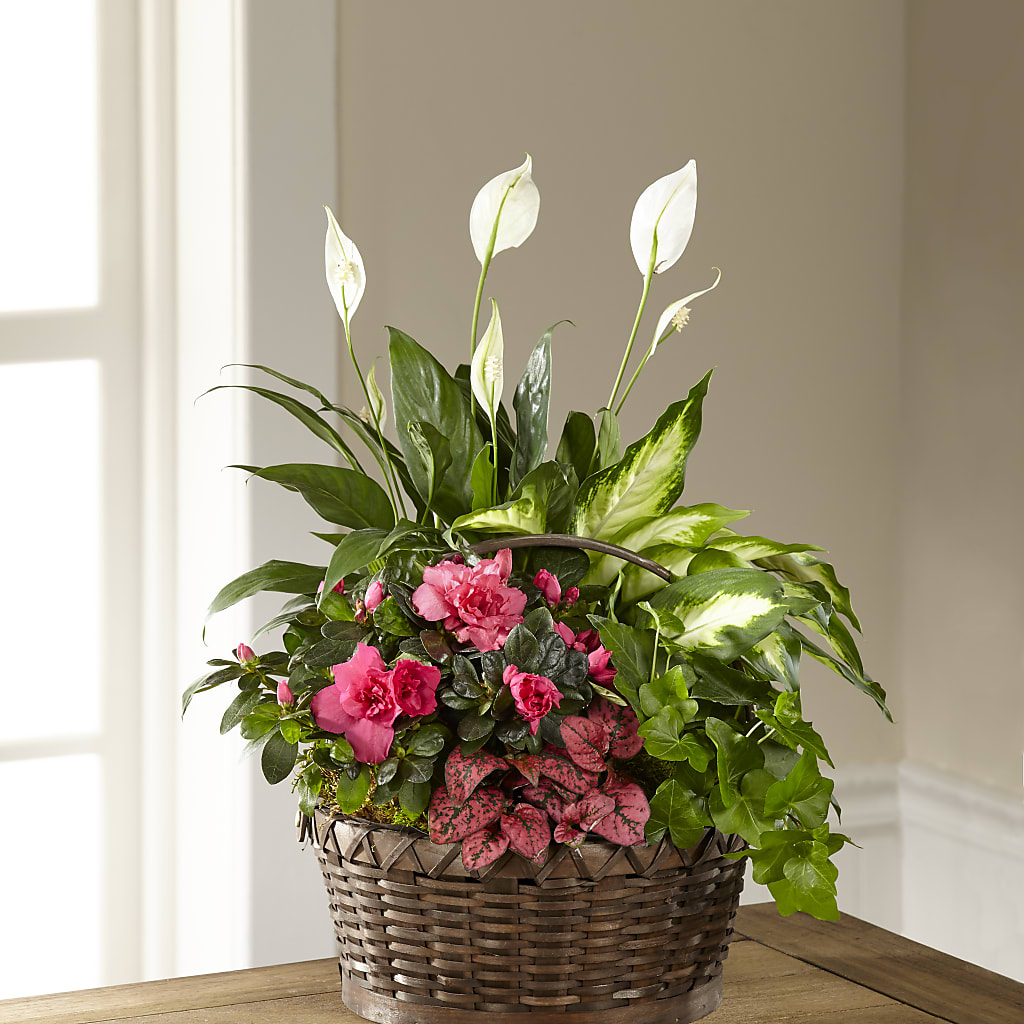 Dream in Pink Dishgarden – Realm Of Blooms, Carnegie PA