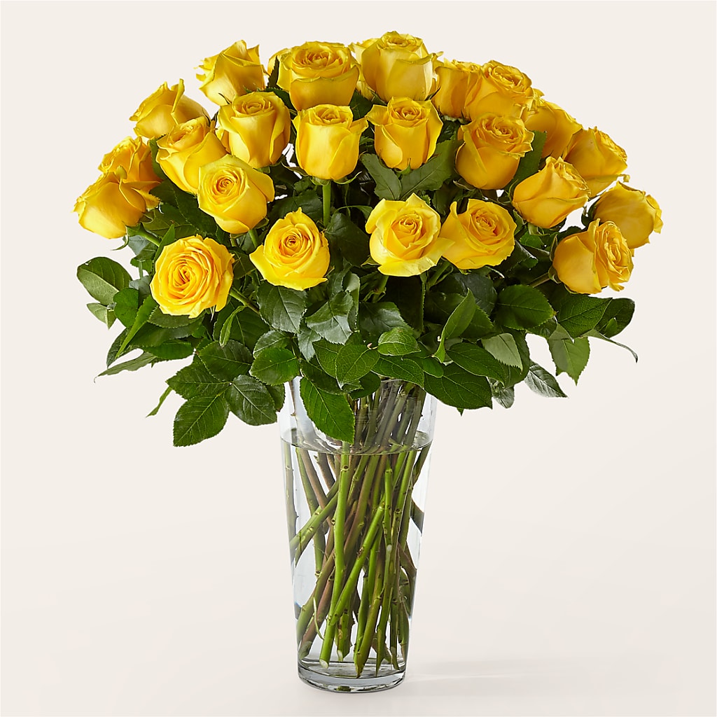 Long Stem Yellow Rose Bouquet – Realm Of Blooms, Carnegie PA