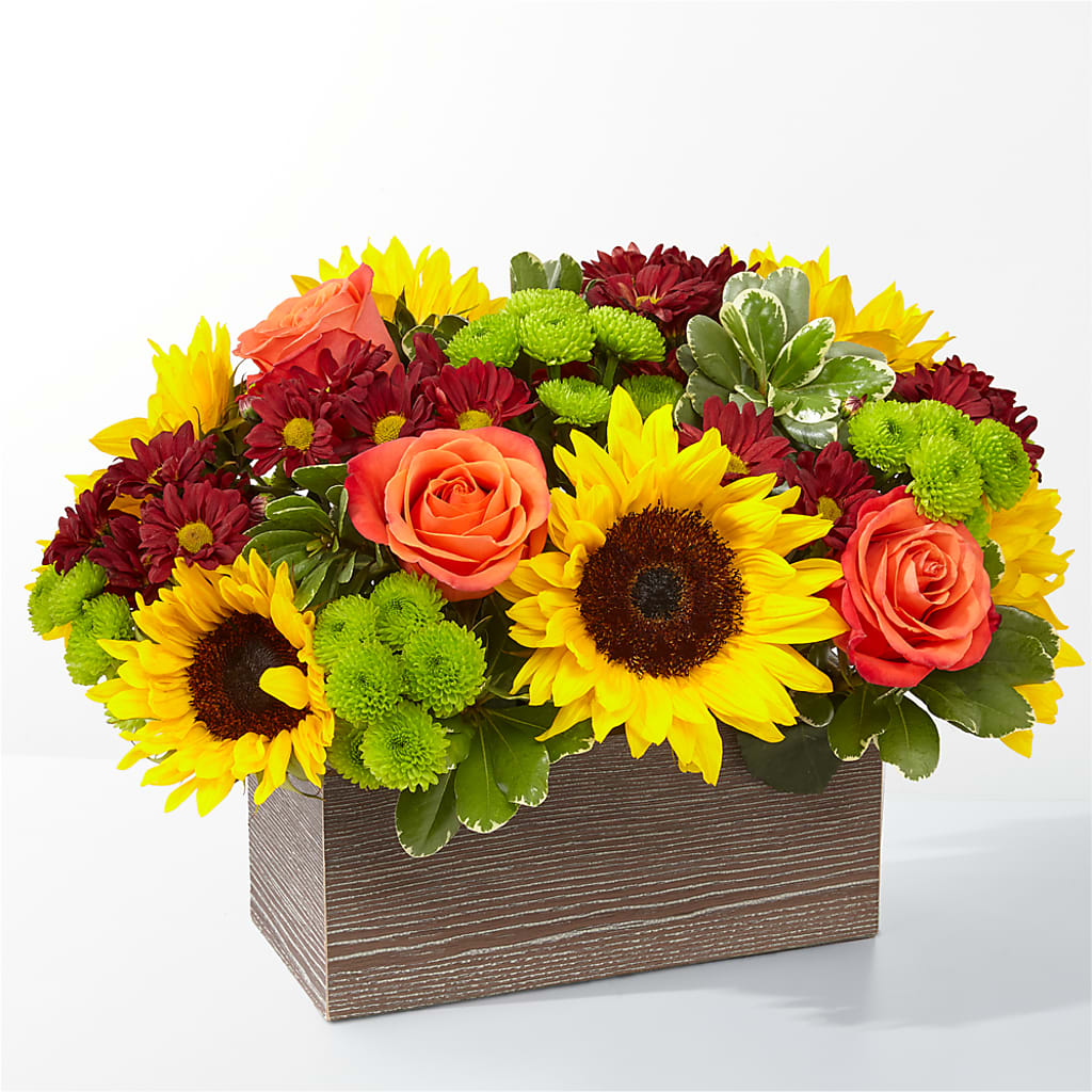Happy Harvest Garden – Realm Of Blooms, Carnegie PA