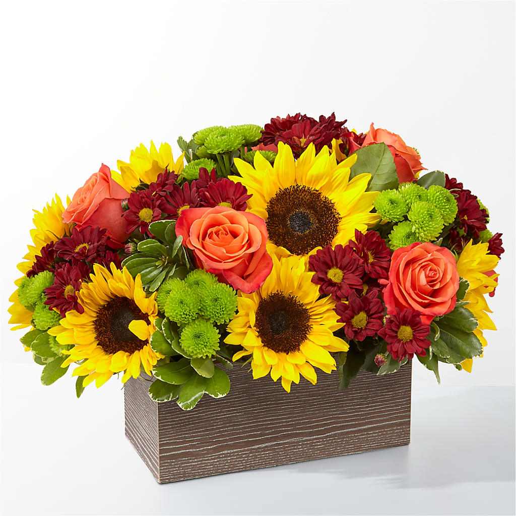 Happy Harvest Garden – Realm Of Blooms, Carnegie PA