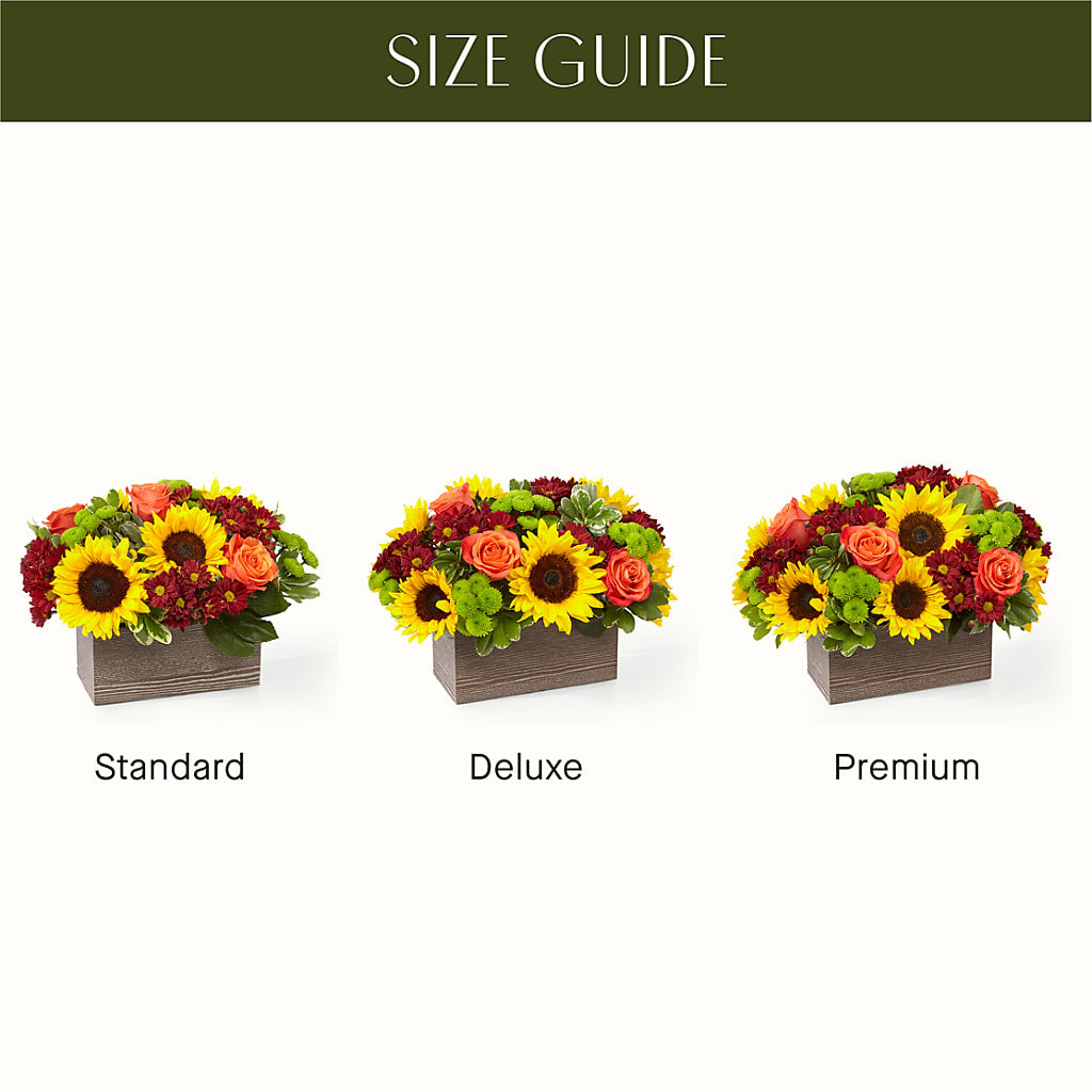 Happy Harvest Garden – Realm Of Blooms, Carnegie PA