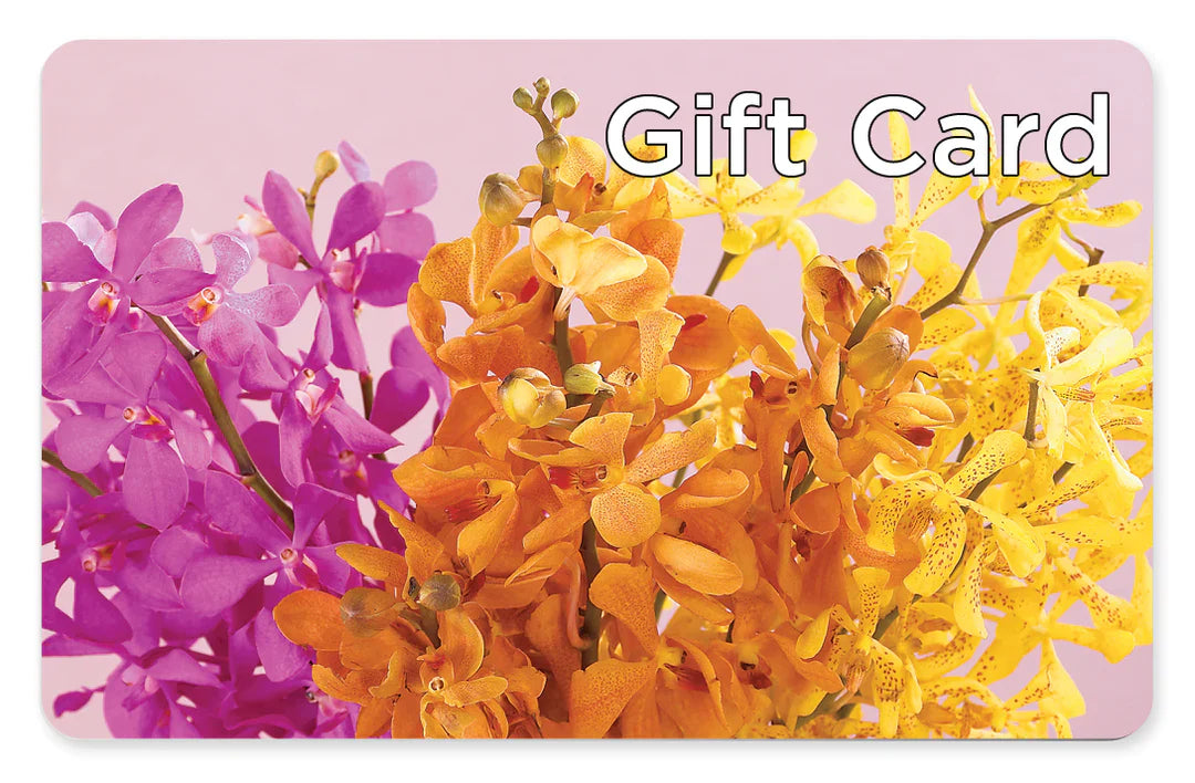 Gift Card – Realm Of Blooms, Carnegie PA