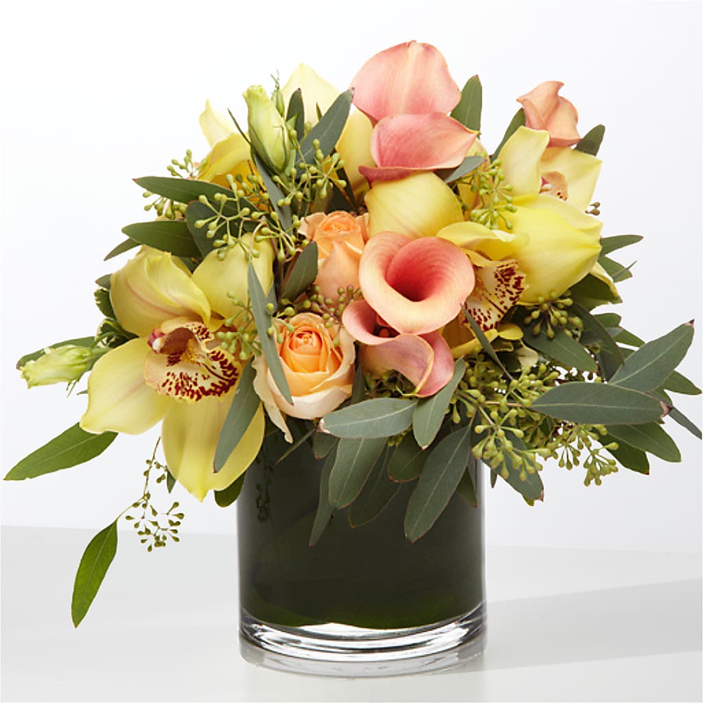 The Visionary – Realm Of Blooms, Carnegie PA