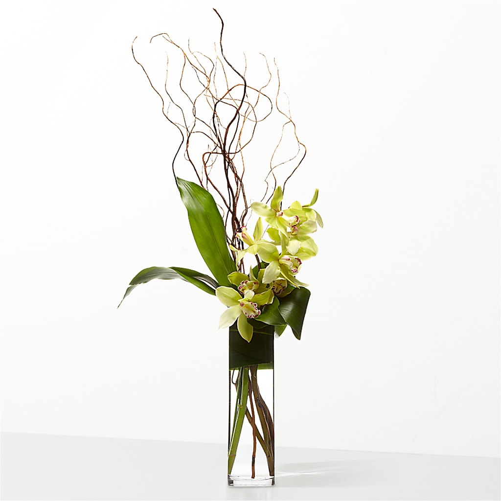The Statement – Realm Of Blooms, Carnegie PA