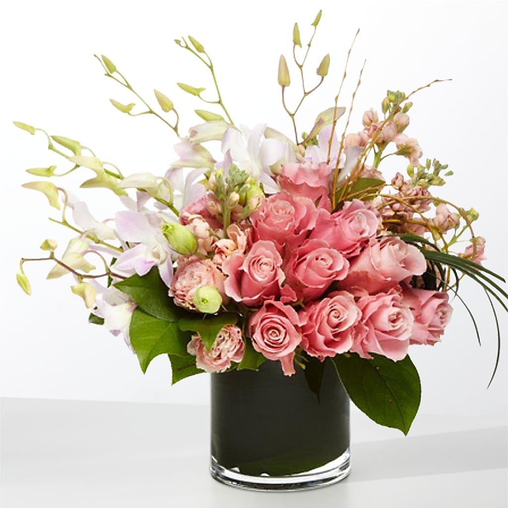 The Muse – Realm Of Blooms, Carnegie PA