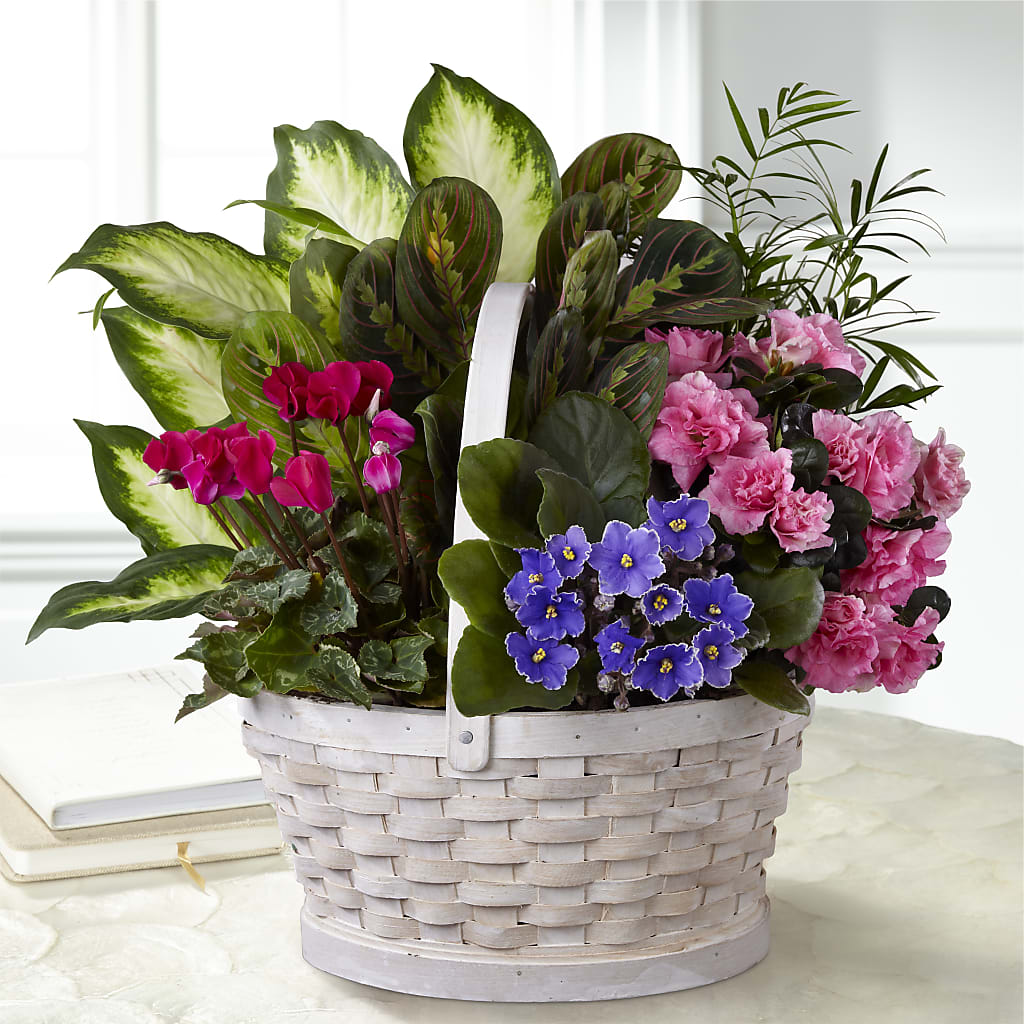 Peaceful Garden Planter – Realm Of Blooms, Carnegie PA