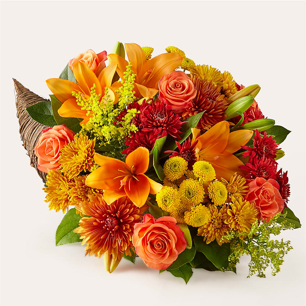 Feast of Color Cornucopia – Realm Of Blooms, Carnegie PA