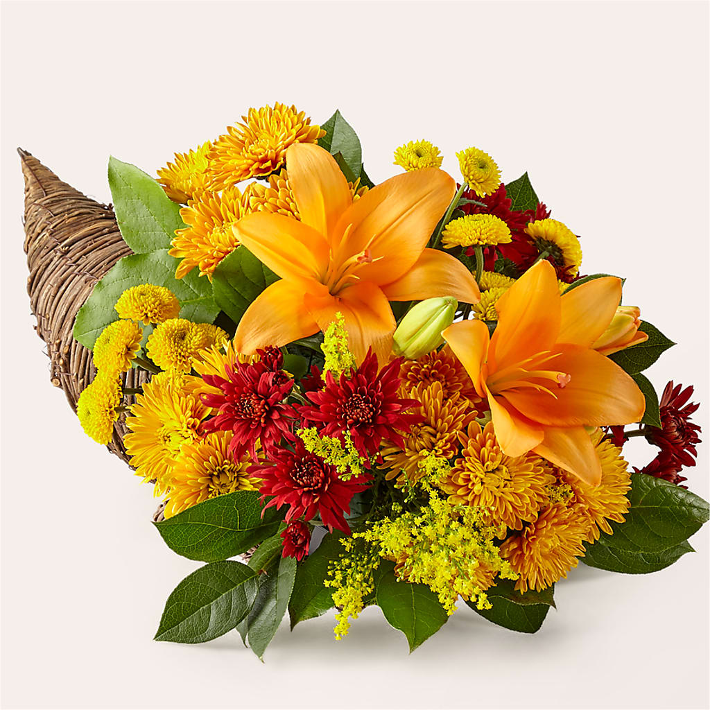 Feast of Color Cornucopia – Realm Of Blooms, Carnegie PA