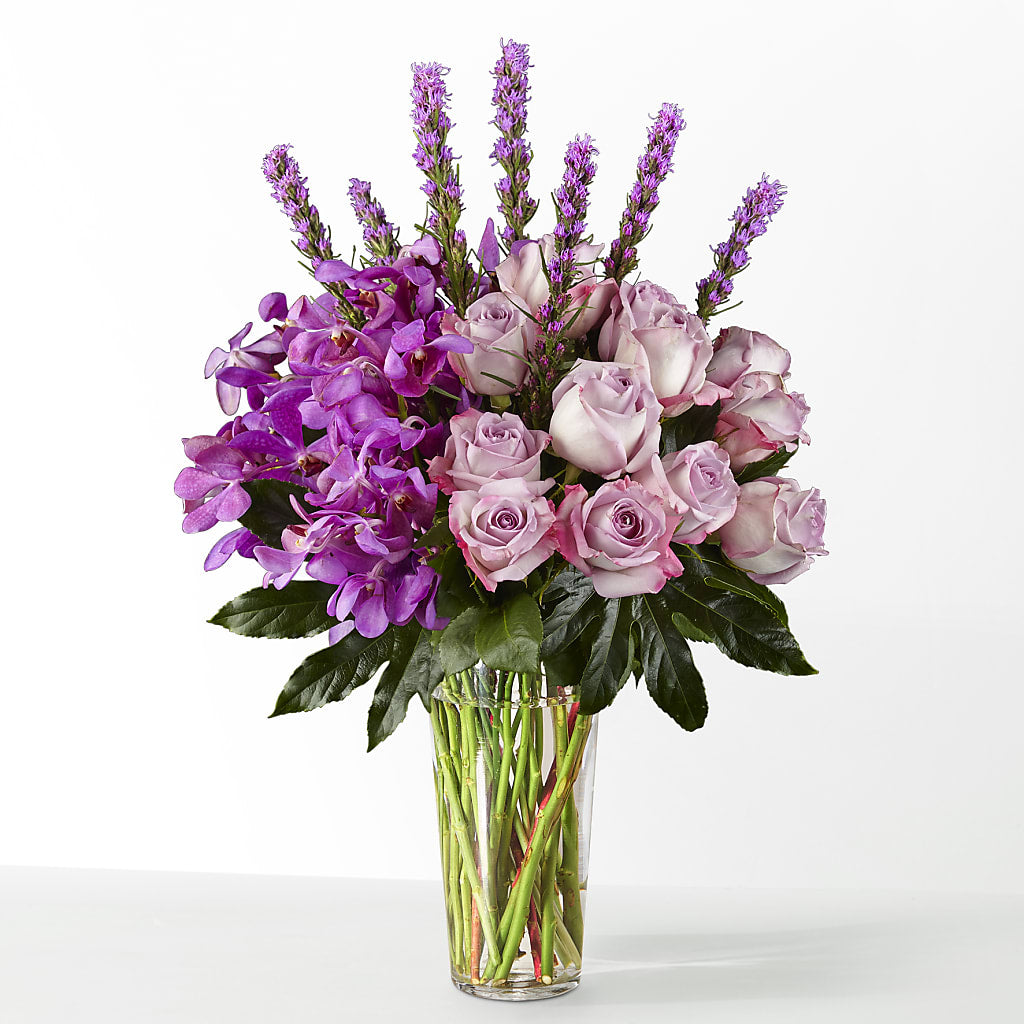 The Maximalist – Realm Of Blooms, Carnegie PA
