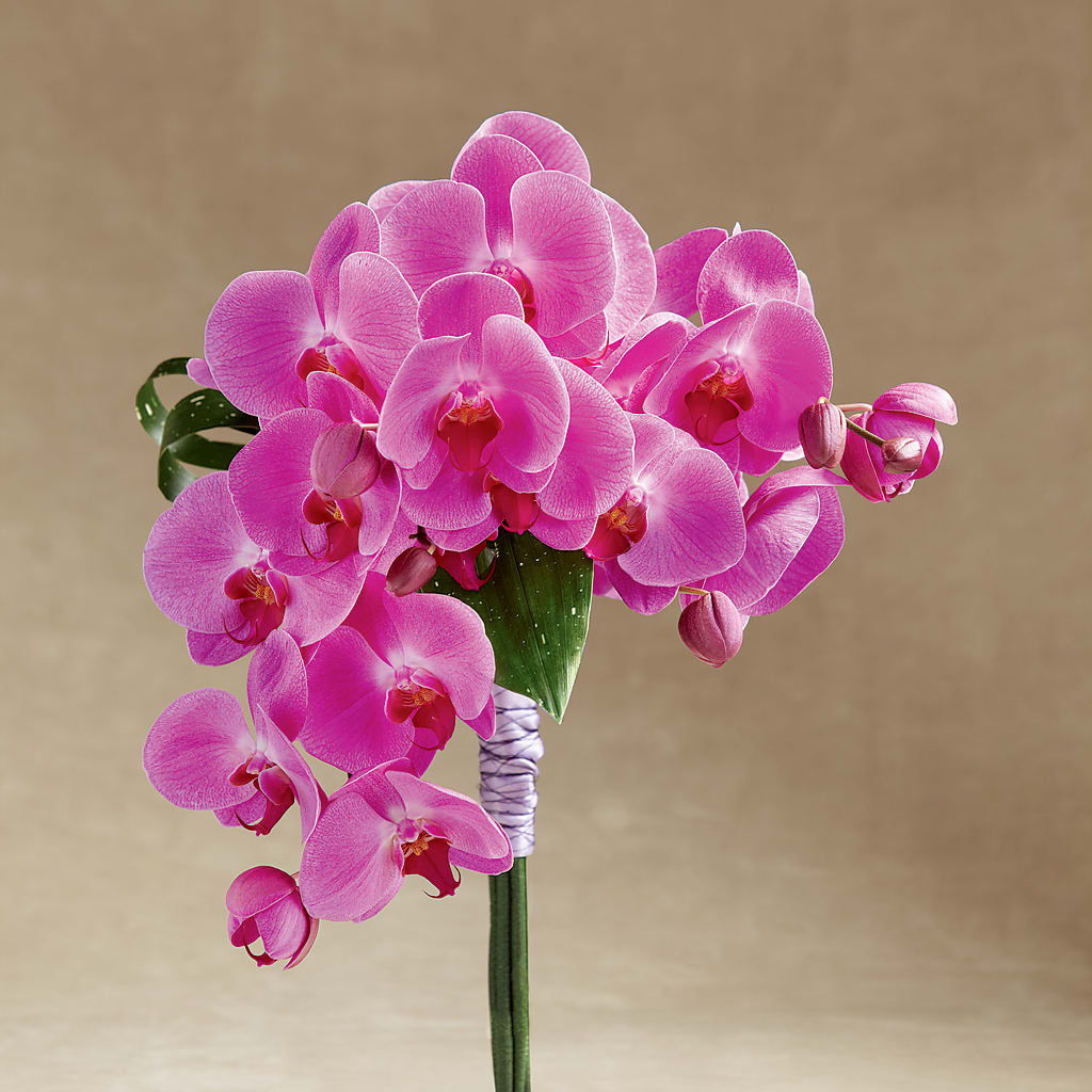 Glorious Bouquet – Realm Of Blooms, Carnegie PA