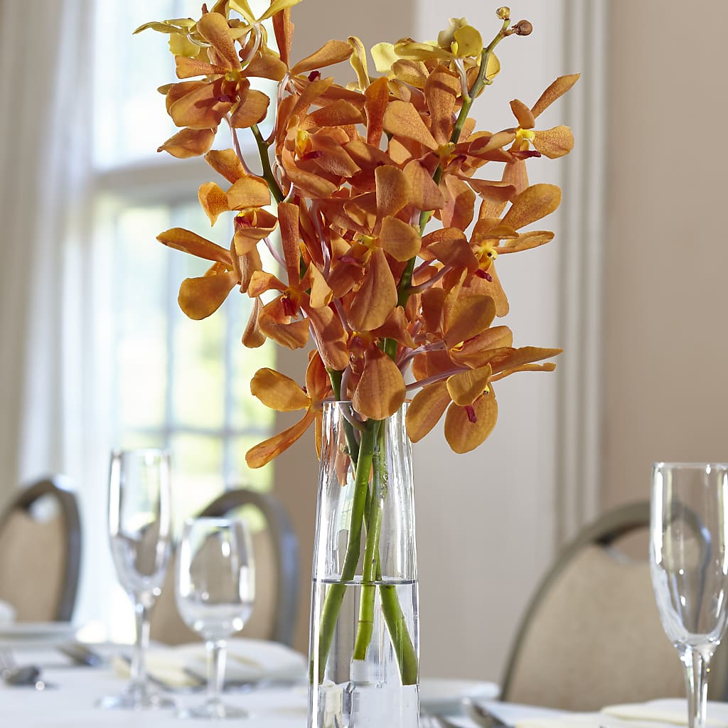 Orange Mokara Bud Vase – Realm Of Blooms, Carnegie PA