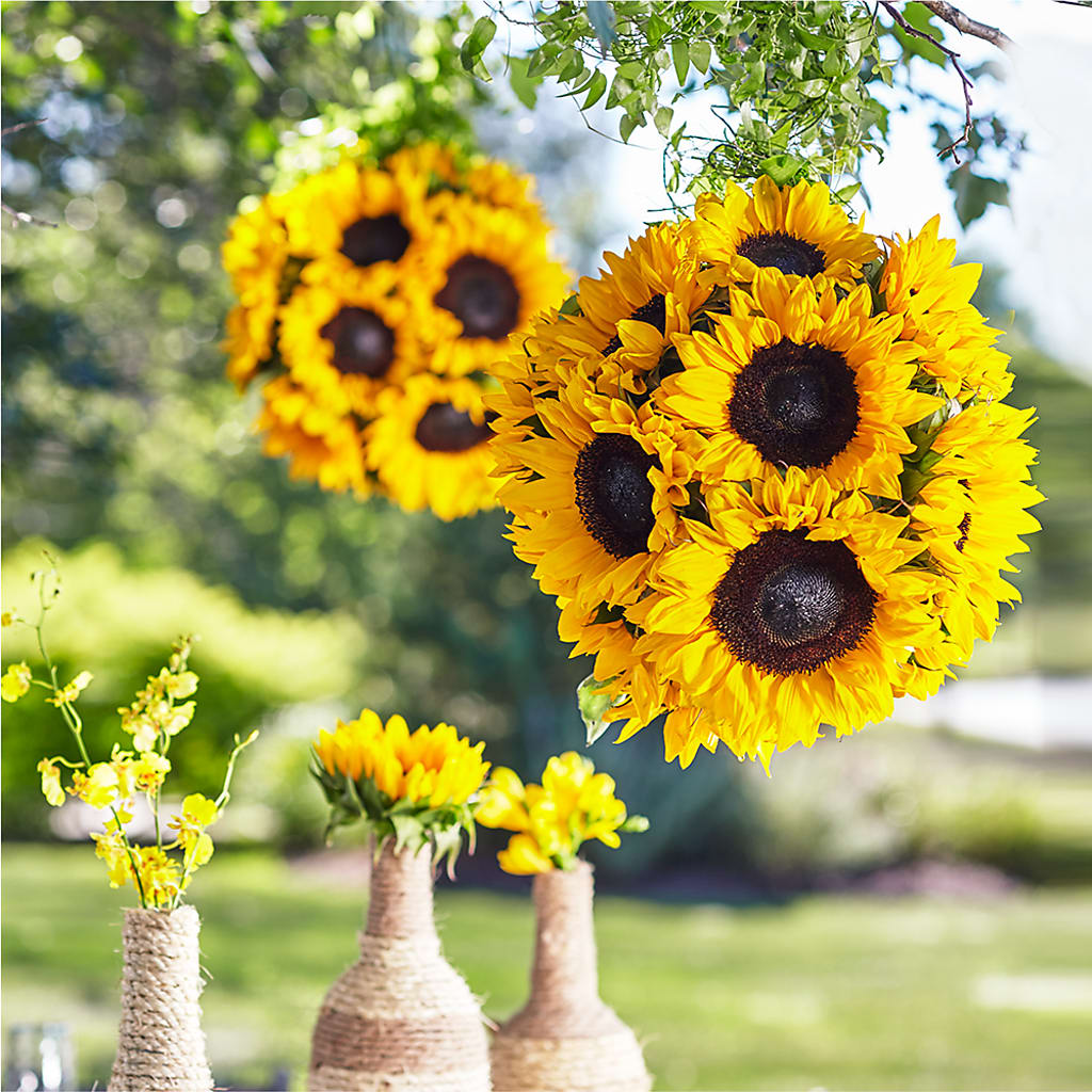 Sublime Garden Hanging Arrangement – Realm Of Blooms, Carnegie PA
