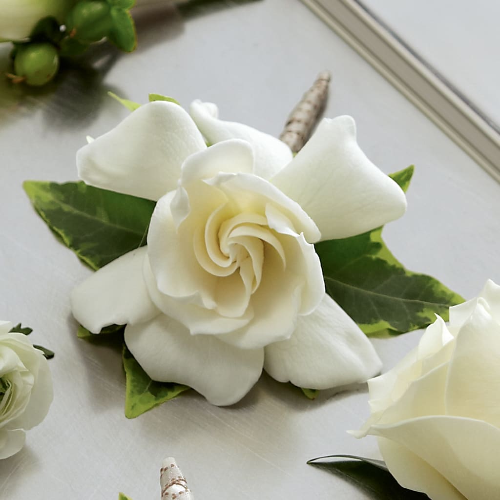 Gardenia Boutonniere – Realm Of Blooms, Carnegie PA