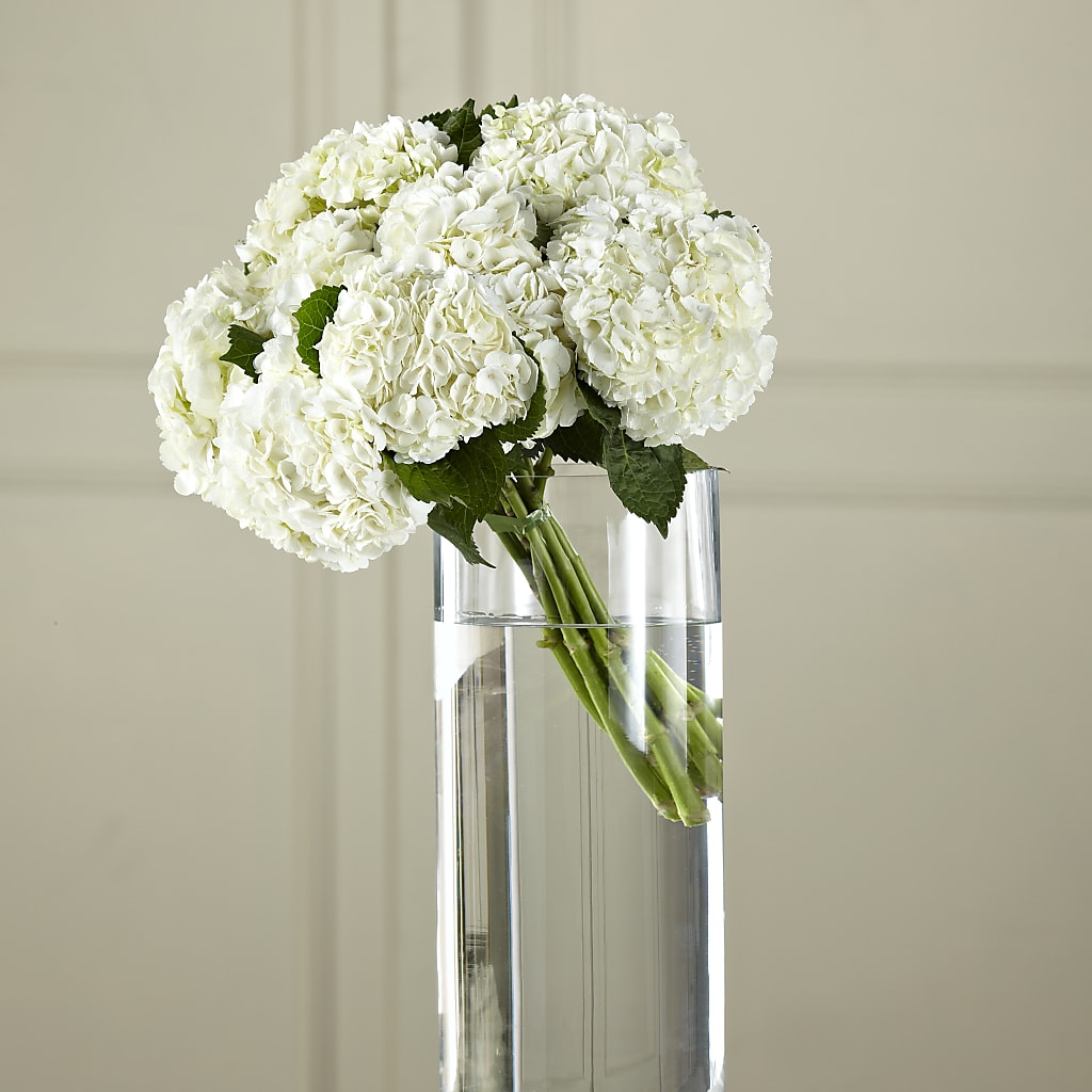 White Hydrangea Hand-Tied Bouquet – Realm Of Blooms, Carnegie PA