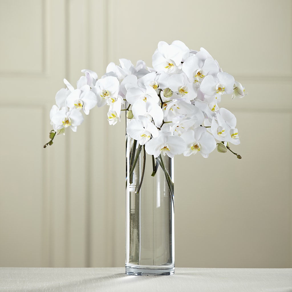 White Phalaenopsis Bouquet – Realm Of Blooms, Carnegie PA