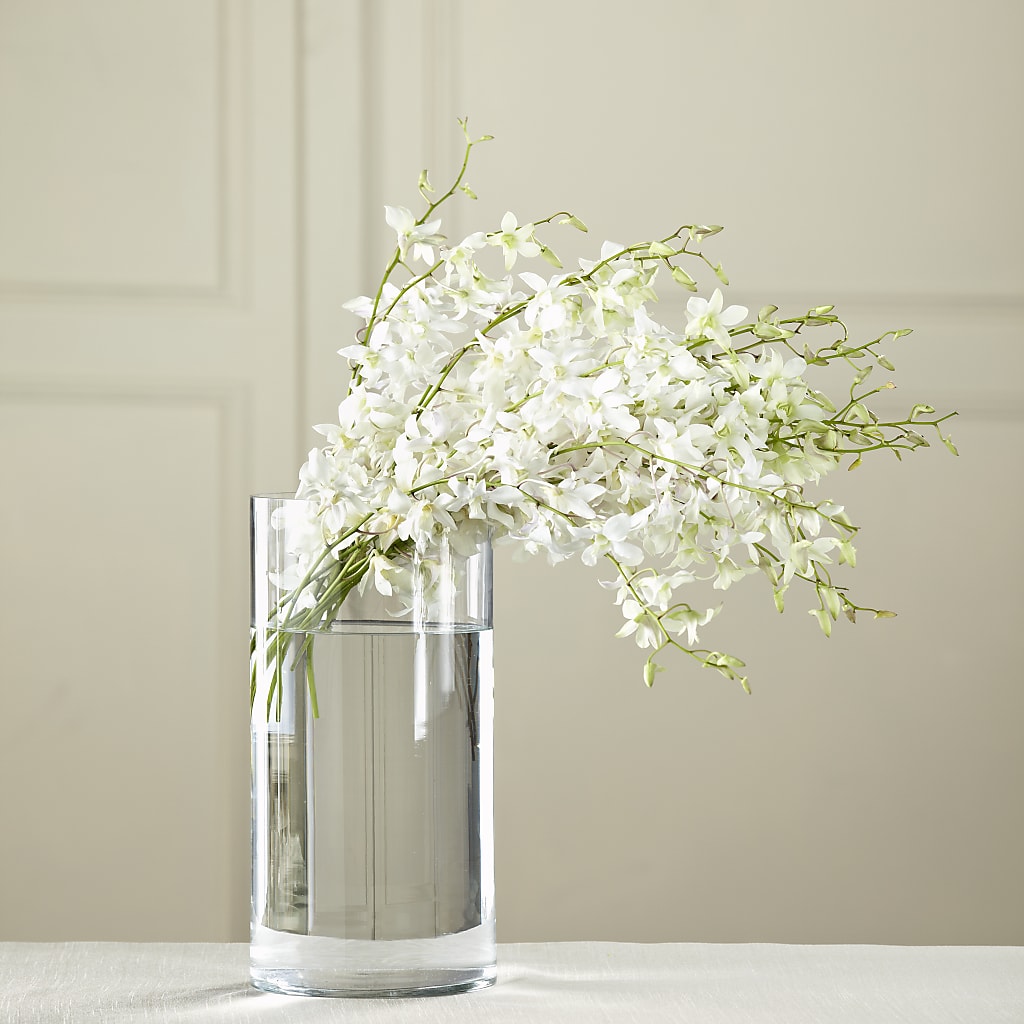 White Dendrobium Bouquet – Realm Of Blooms, Carnegie PA