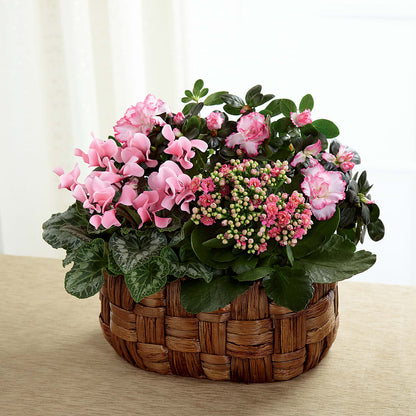 Pink Assortment –  Realm Of Blooms, Carnegie PA