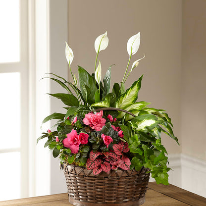 Dream in Pink Dishgarden –  Realm Of Blooms, Carnegie PA