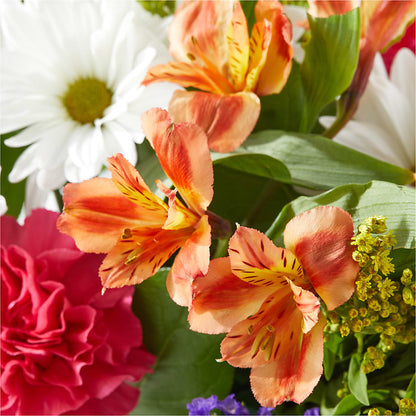 Oopsie Daisy Box Bouquet –  Realm Of Blooms, Carnegie PA