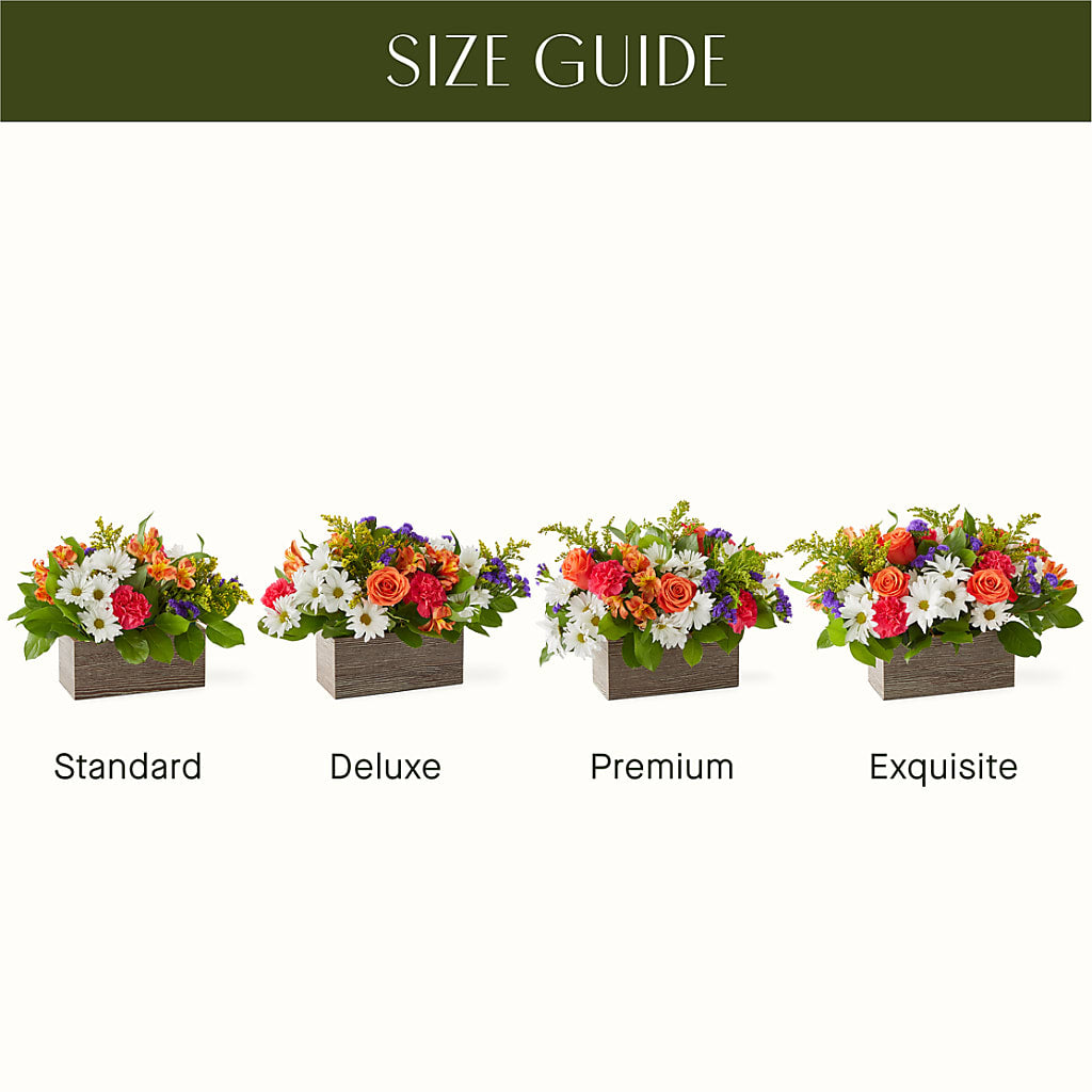 Oopsie Daisy Box Bouquet –  Realm Of Blooms, Carnegie PA