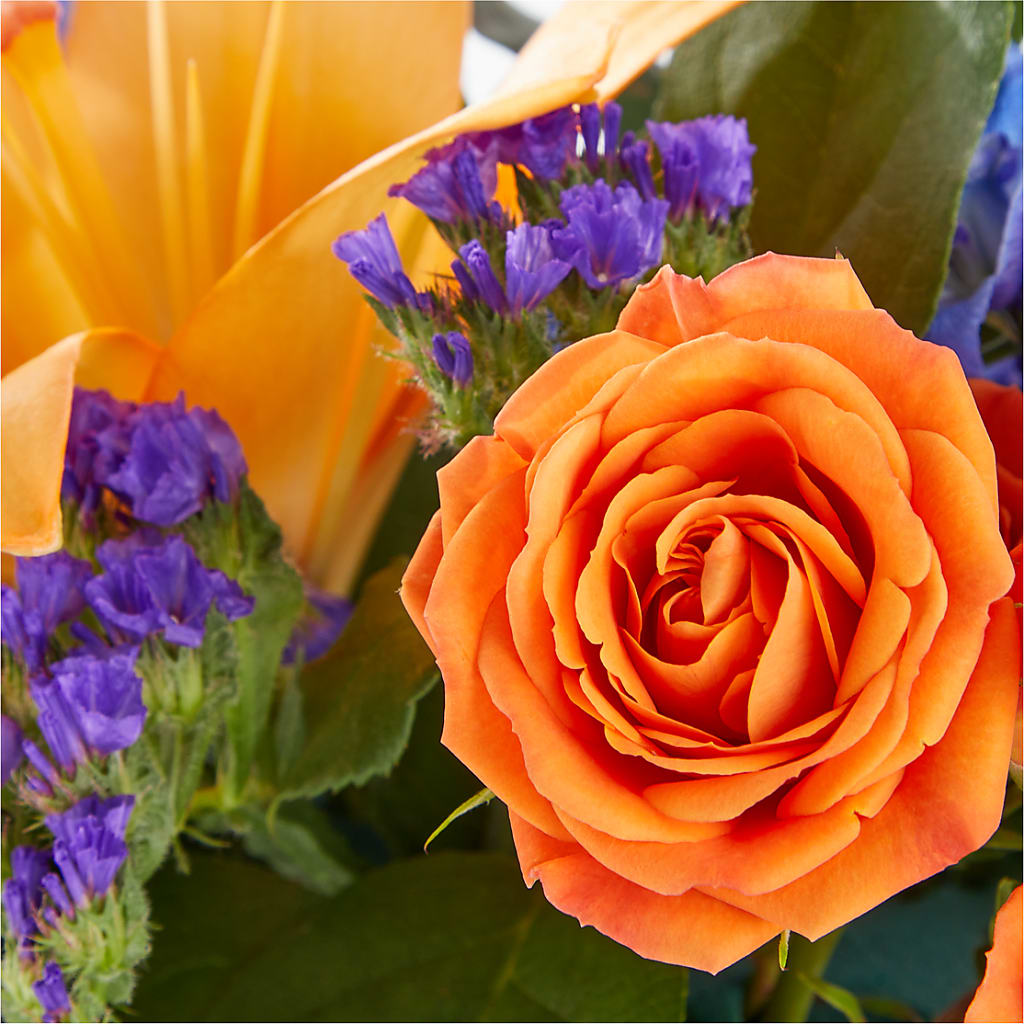 Radiant Citrus Box Bouquet –  Realm Of Blooms, Carnegie PA