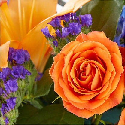 Radiant Citrus Box Bouquet –  Realm Of Blooms, Carnegie PA