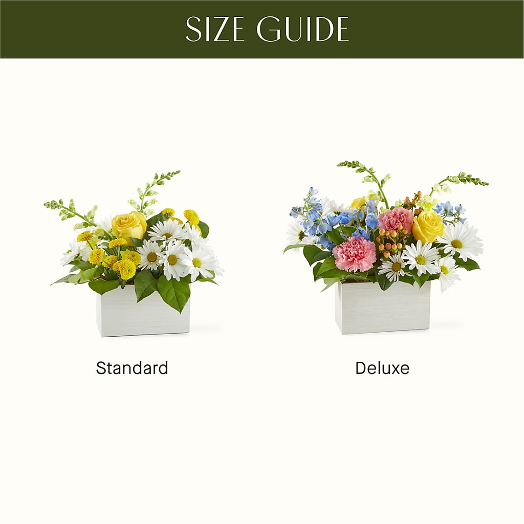 Sun Salutation Box Bouquet –  Realm Of Blooms, Carnegie PA
