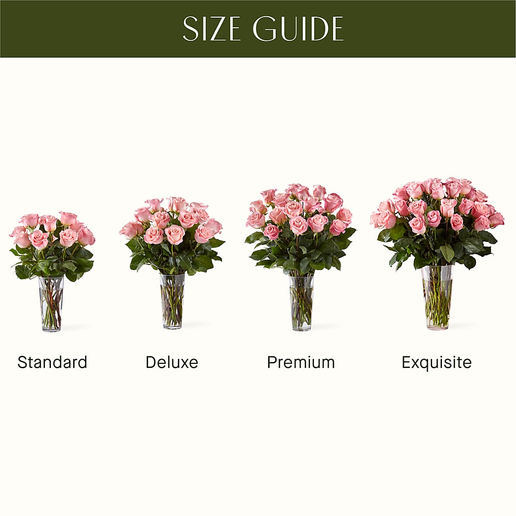 Long Stem Pink Rose Bouquet –  Realm Of Blooms, Carnegie PA