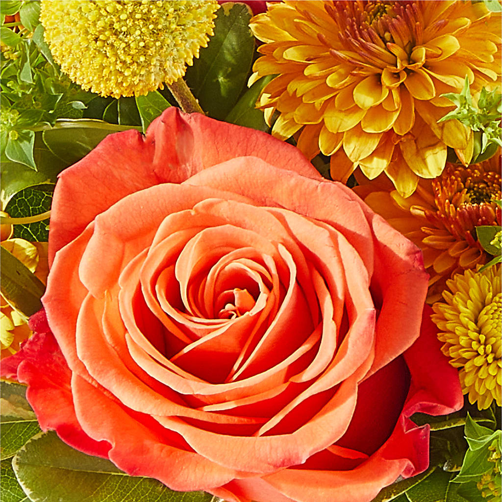Gourdgeous Pumpkin –  Realm Of Blooms, Carnegie PA