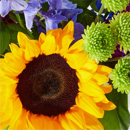 Catching Rays Bouquet –  Realm Of Blooms, Carnegie PA