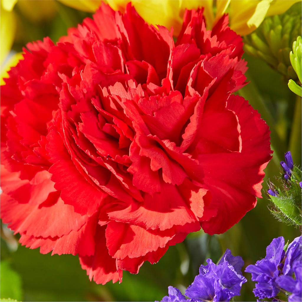 Brighter Days Bouquet –  Realm Of Blooms, Carnegie PA