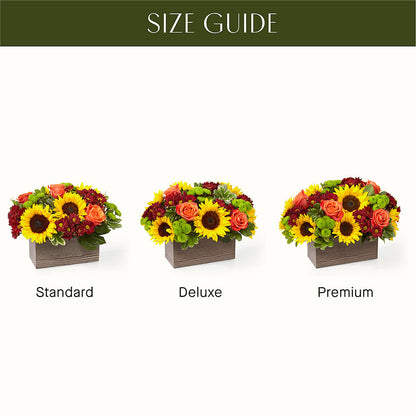 Happy Harvest Garden –  Realm Of Blooms, Carnegie PA