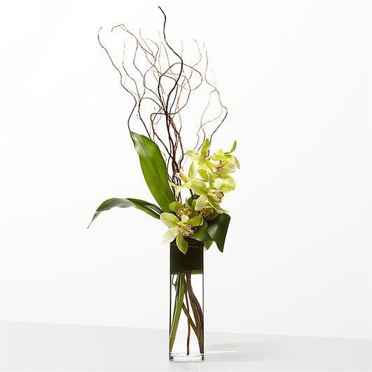 The Statement –  Realm Of Blooms, Carnegie PA