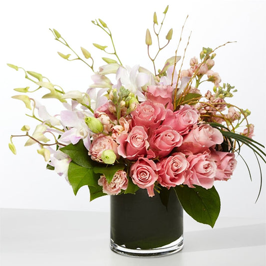 The Muse –  Realm Of Blooms, Carnegie PA