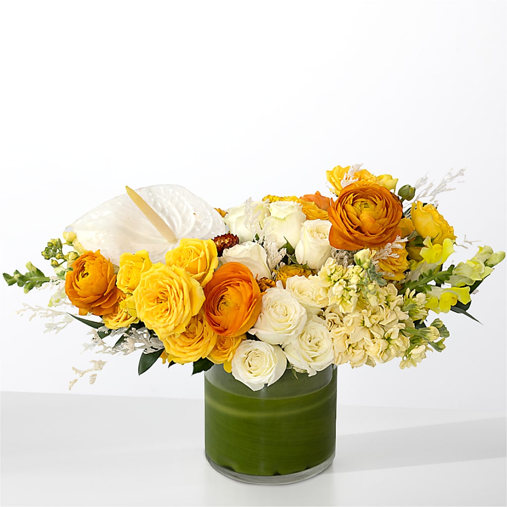 The Optimist –  Realm Of Blooms, Carnegie PA