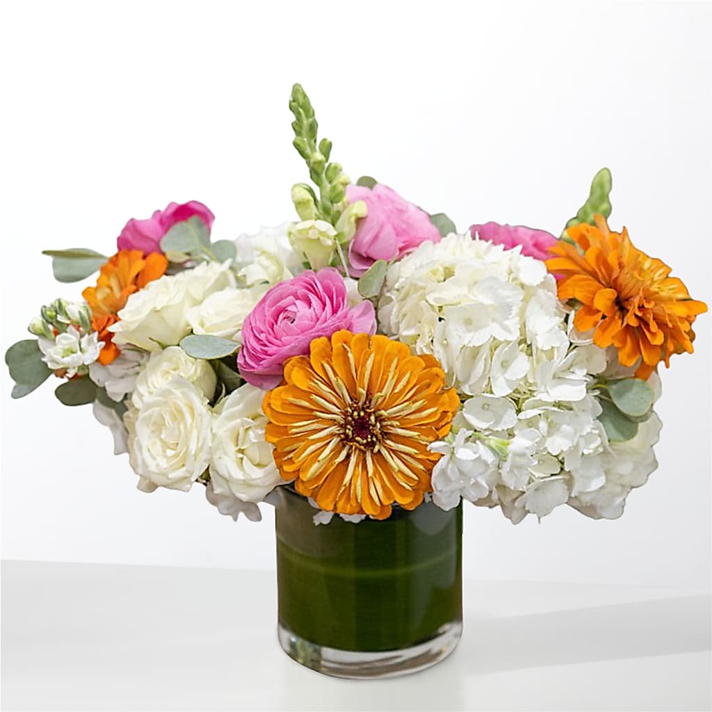 The Meet Cute –  Realm Of Blooms, Carnegie PA