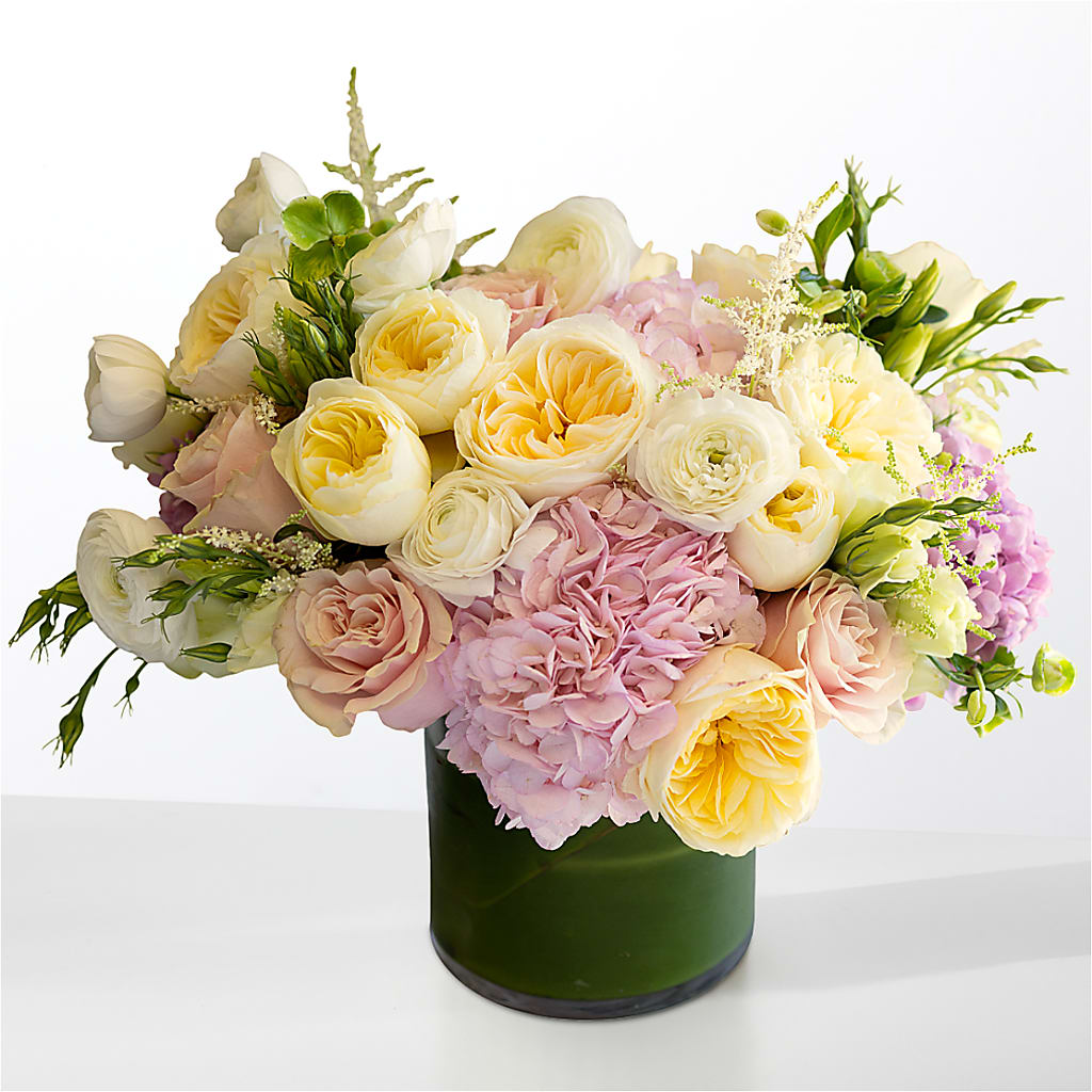 The Melody –  Realm Of Blooms, Carnegie PA