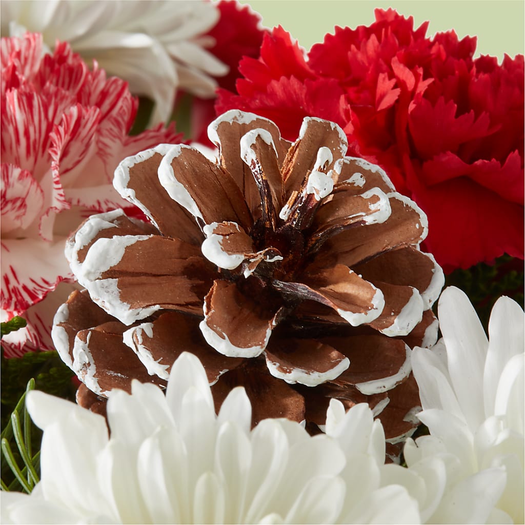 Candy Cane Lane Bouquet –  Realm Of Blooms, Carnegie PA