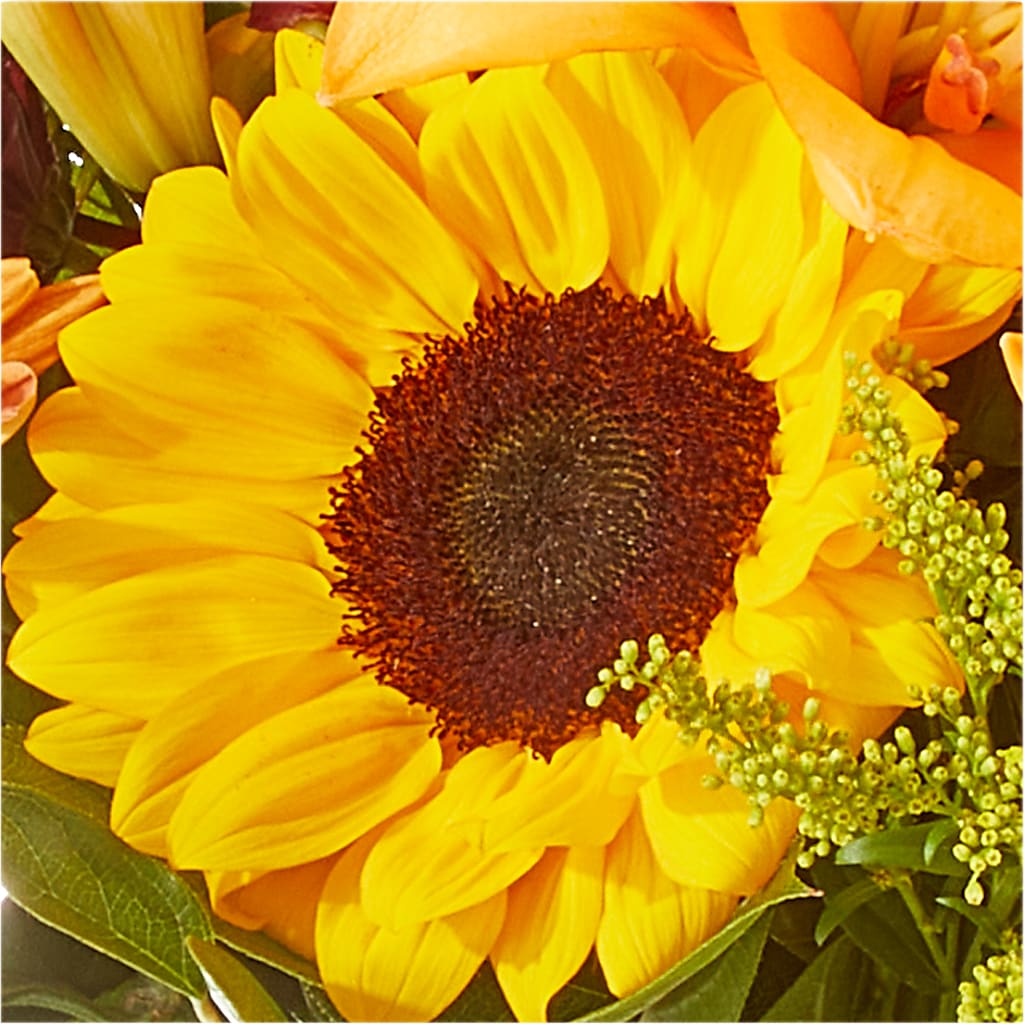 Seasons Change Bouquet –  Realm Of Blooms, Carnegie PA