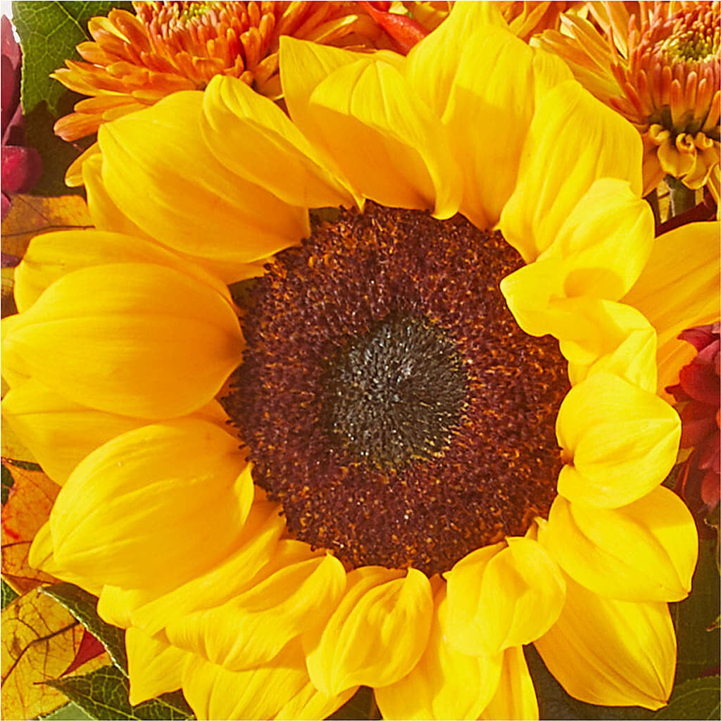 Sunny Side Bouquet –  Realm Of Blooms, Carnegie PA