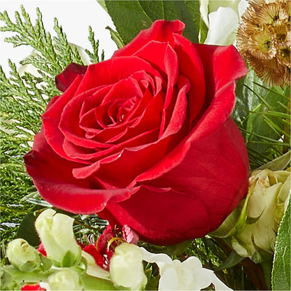 Deck the Halls Bouquet –  Realm Of Blooms, Carnegie PA