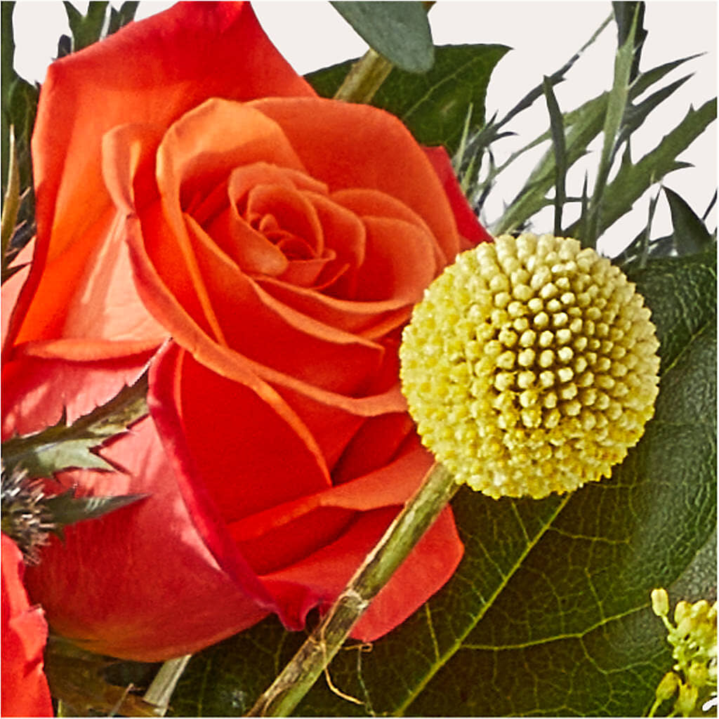 Disco Bouquet –  Realm Of Blooms, Carnegie PA
