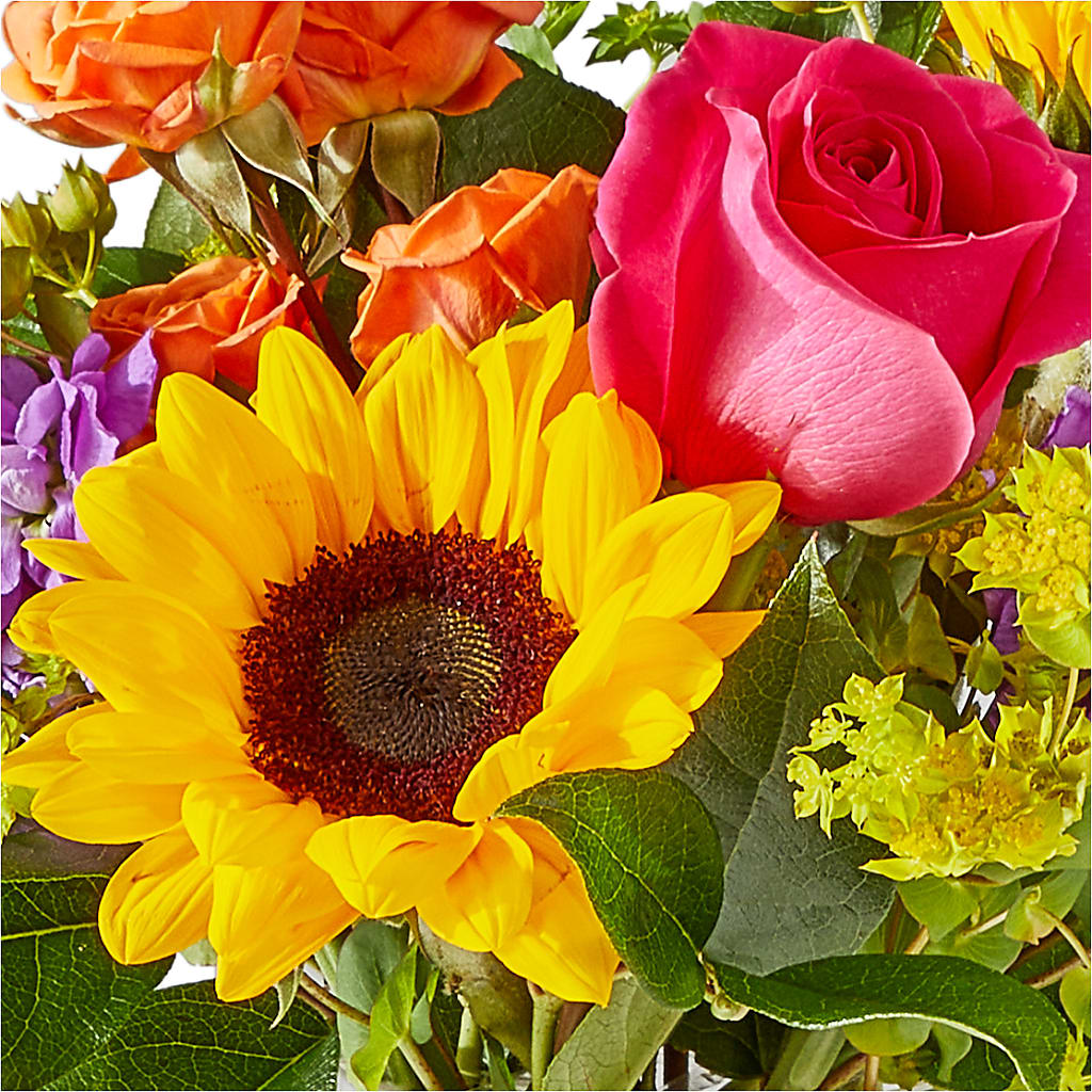 Vibrant Greetings Bouquet –  Realm Of Blooms, Carnegie PA