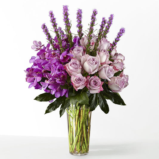 The Maximalist –  Realm Of Blooms, Carnegie PA
