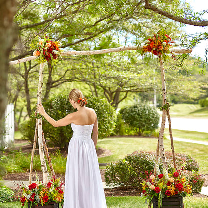 Arbor of Love Archway –  Realm Of Blooms, Carnegie PA